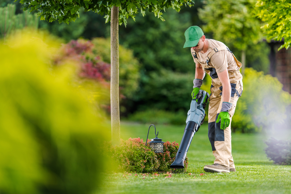 Freshly landscaped garden project
